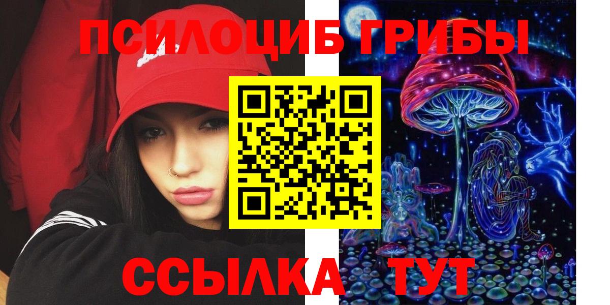 Галлюциногенные грибы Cubensis  Вход с VPN  Гусь-Хрустальный 